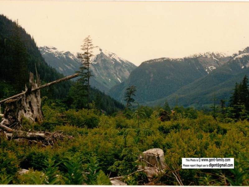 mclean_mtn_valley.jpg