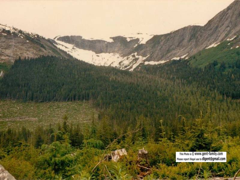 mclean_mtn_view.jpg