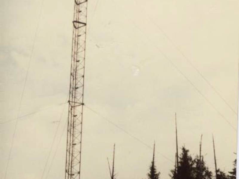 mount_griffin_site_from_ground_level.jpg