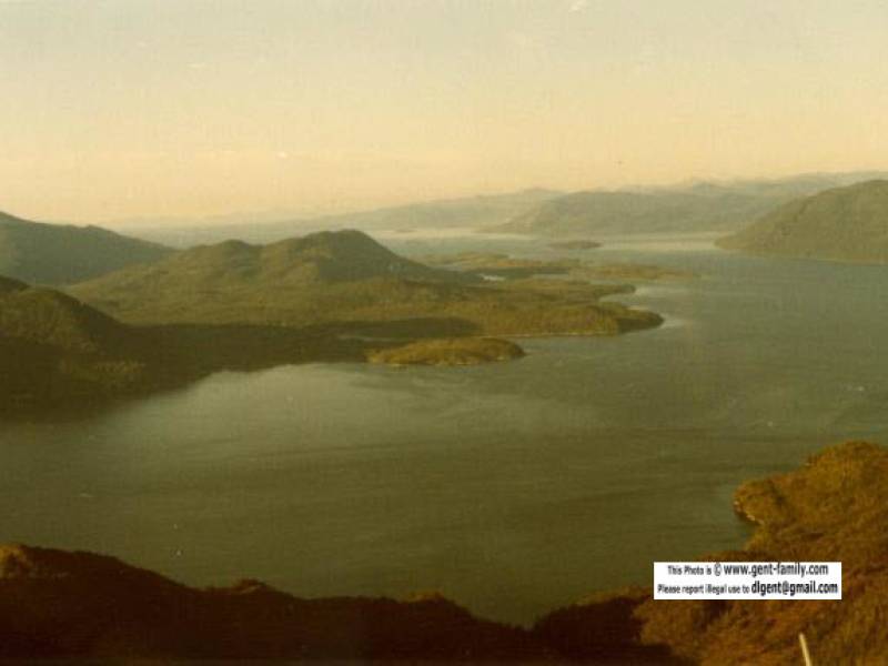 pitt_island_north_oona_river.jpg