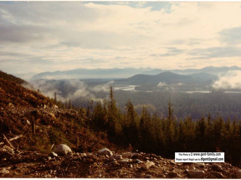 ron_anderson_bag1_pic_10.jpg