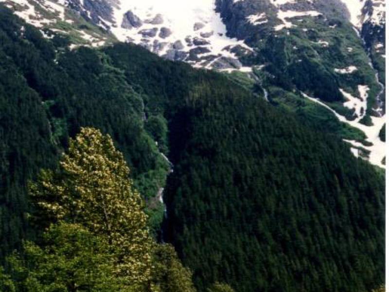 stewart_mountain_view.jpg