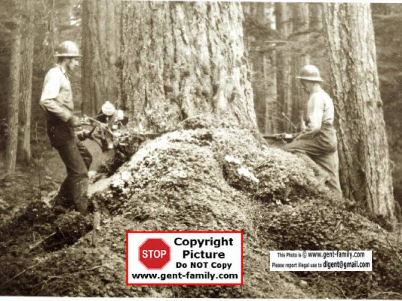 2manchainsaw001_2_.jpg
