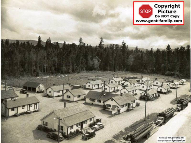 campviewtrucksonroad001_2_.jpg