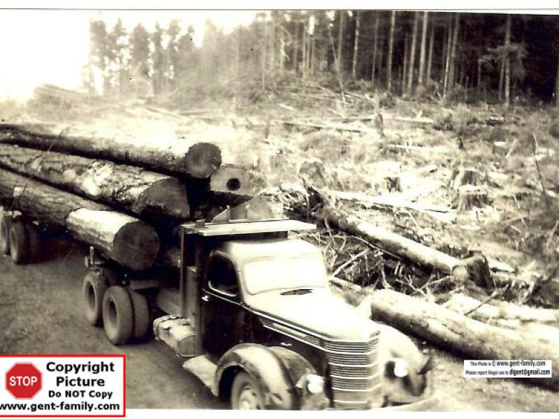 truckloadedleavingbush007.jpg