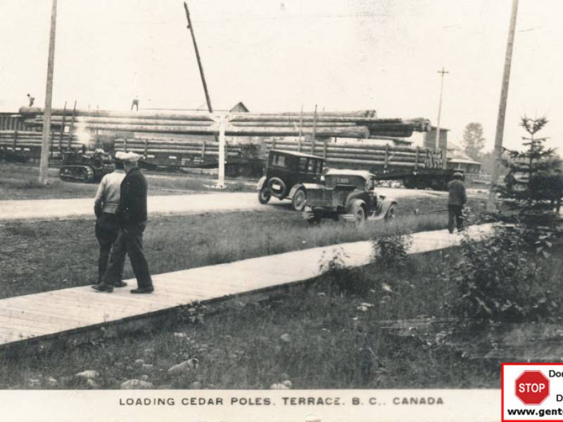 terrace_cedar_poles_logo.jpeg