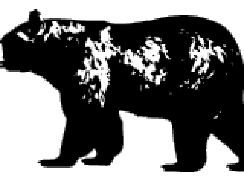 blackbear.gif
