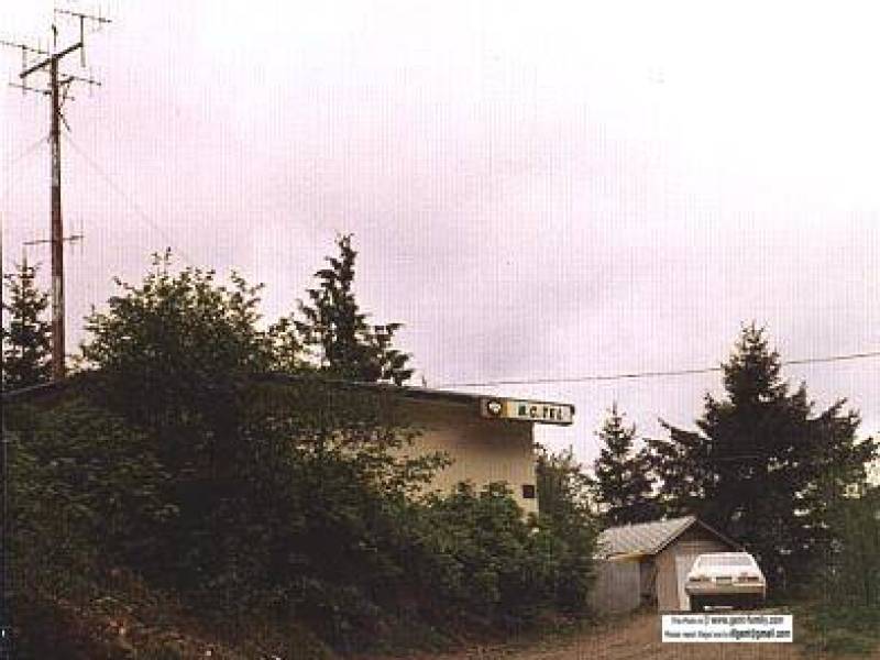 qccy1976blackiepic.jpg