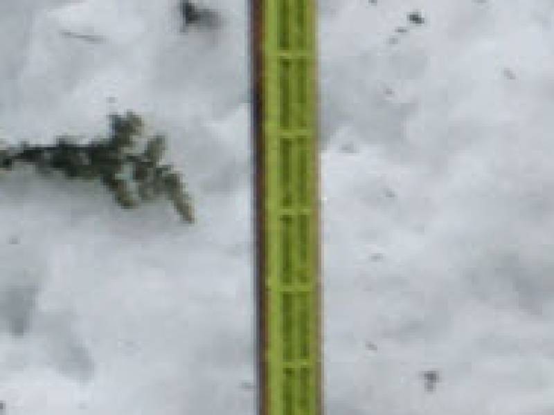 lime_green_shovel.jpg