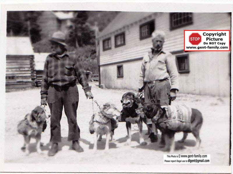 dog_pack_train_2_unknowns.jpg