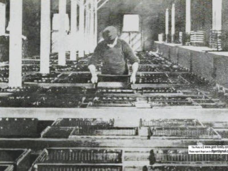 dominionfishhatcherylakelseca1911.jpg