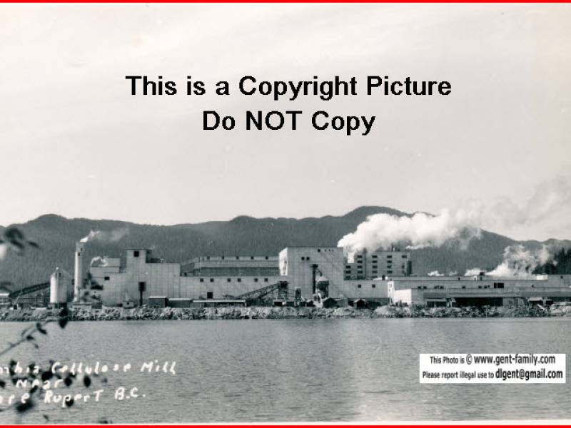 columbia_cellulose_mill_watson_island.jpg
