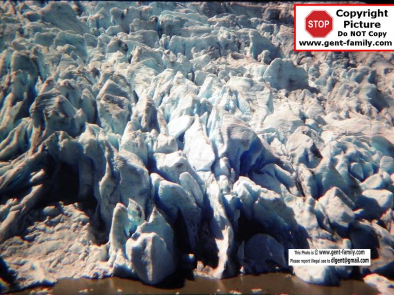 bear_glacier_100_7256-0001.jpg