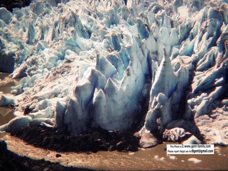 bear_glacier_100_7527-0008.jpg