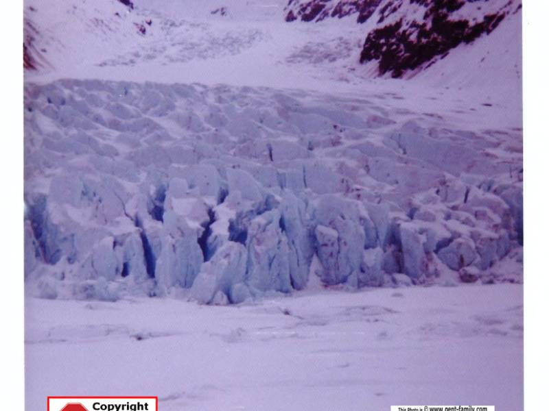 bear_glacier_bwolfe_20150323_0049-0010.jpg