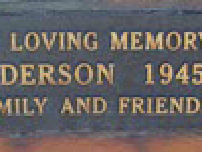 101_1944_tina_anderson.jpg