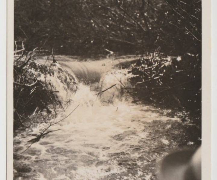 beaver_dam_lakelse_lake_postcard.jpg