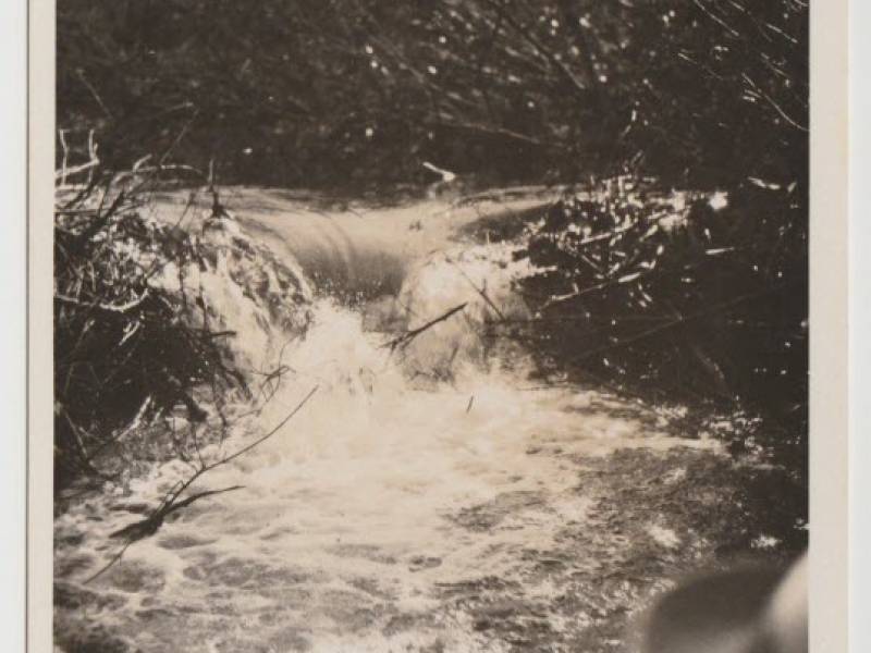 beaver_dam_lakelse_lake_postcard.jpg