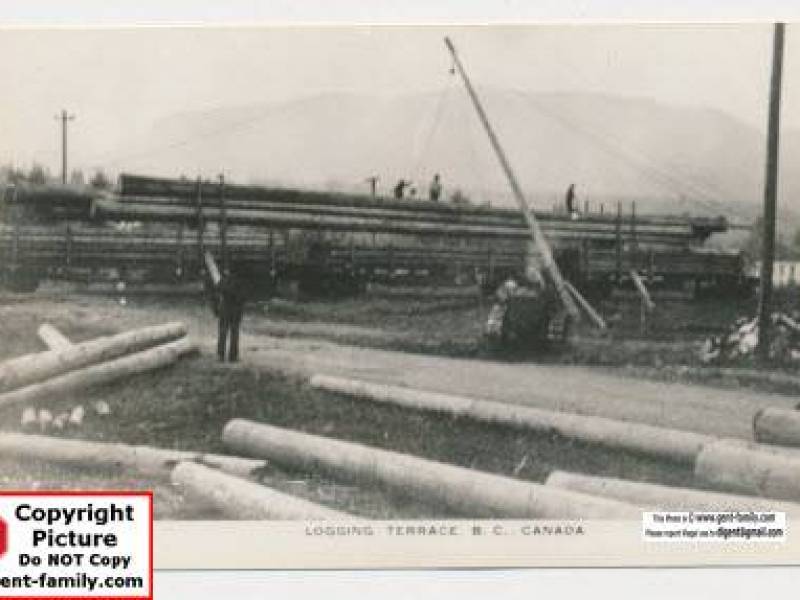 cedar_pole_loading_terrace.jpg