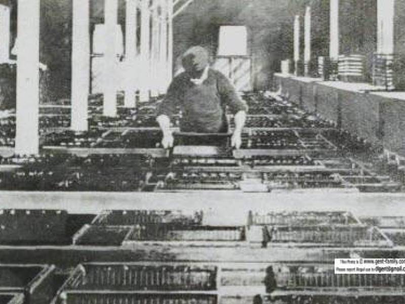 dominionfishhatcherylakelseca1911.jpg