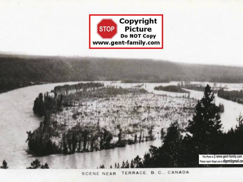 ferry_island_flooded.jpg