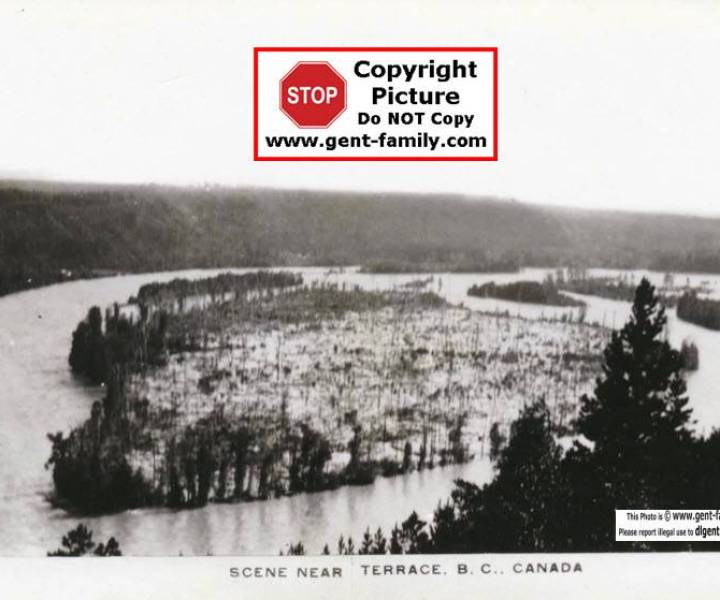 ferry_island_flooded.jpg