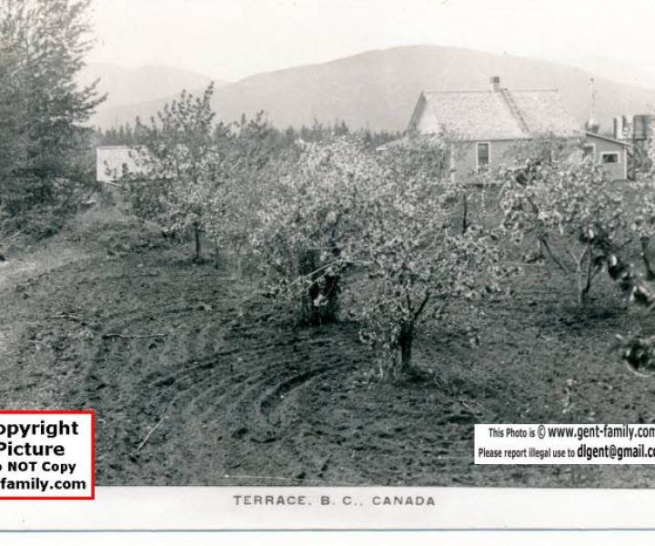 house_and_fruit_farm_terrace.jpg