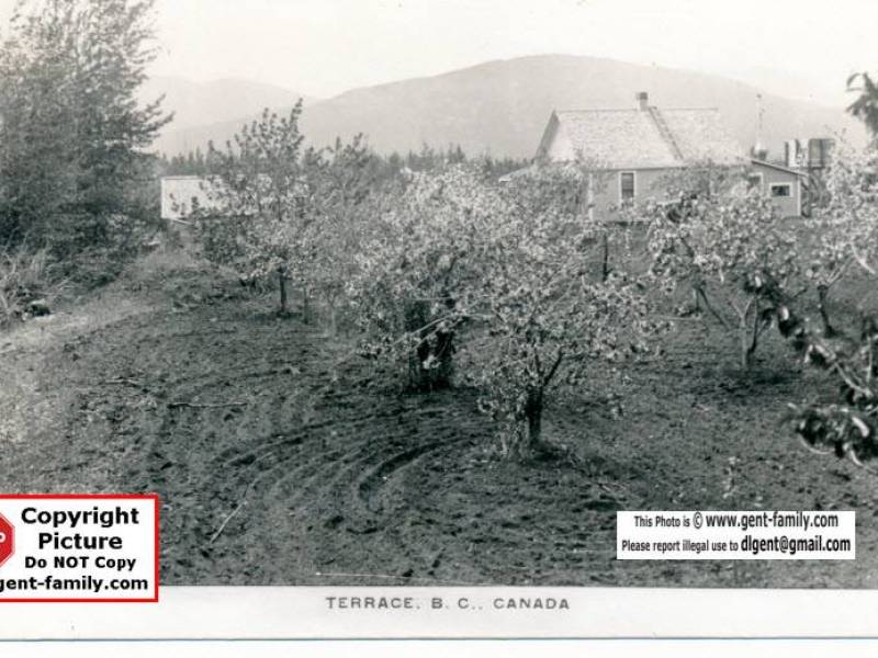 house_and_fruit_farm_terrace.jpg