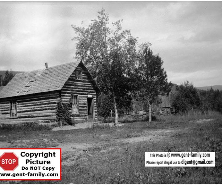 lornecreekpolambphoto.jpg