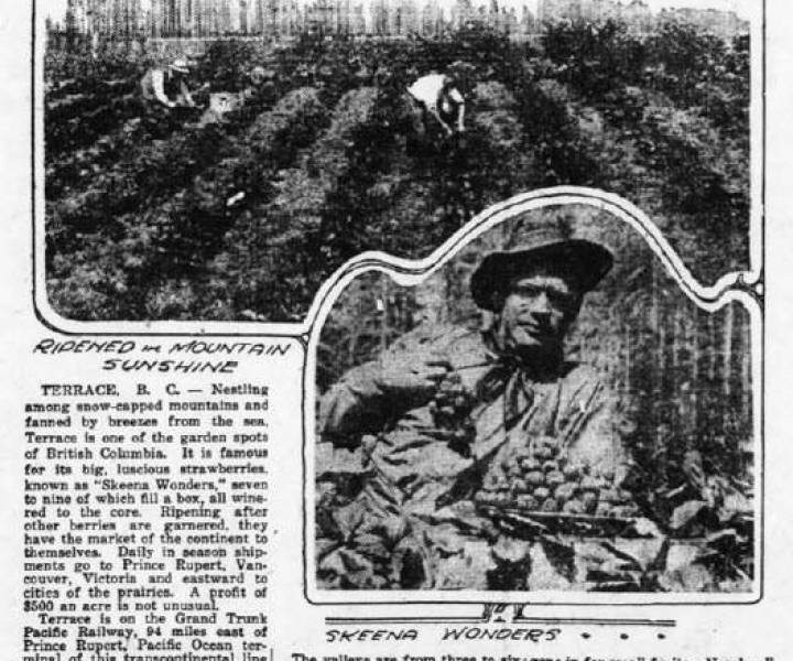 skeenawonderstrawberryadca1921.jpg