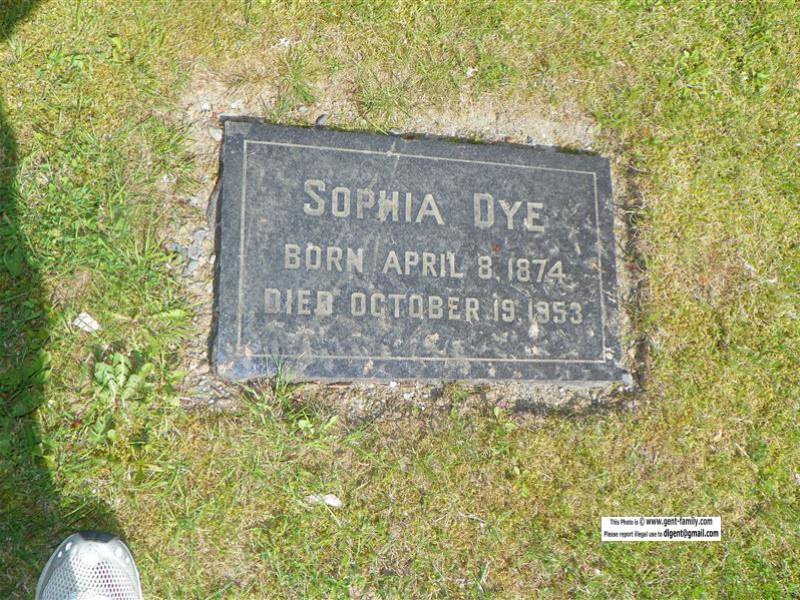 sophia_dye.jpg