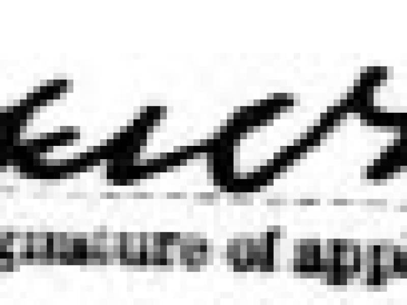 frankmorsesignature.jpg