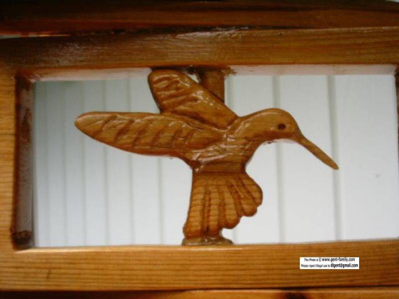hummingbird_whirly.jpg
