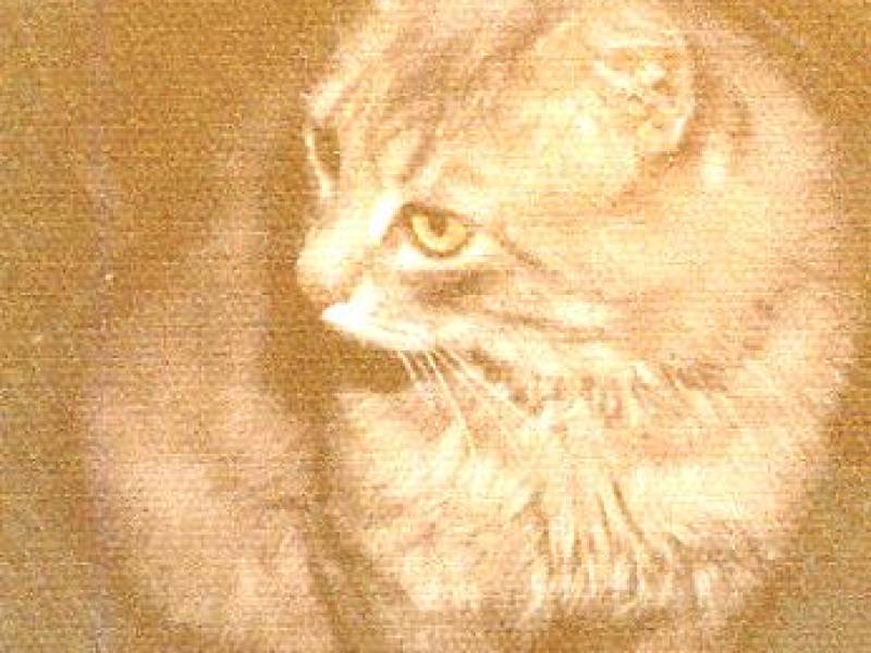 ralph1972.jpg