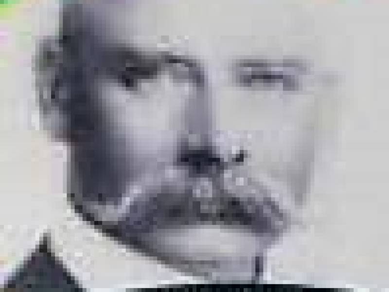 robertbird.jpg