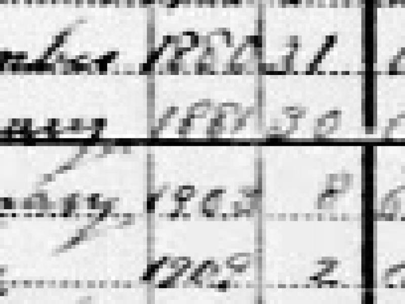1911_canada_census_alex_wilson.jpg