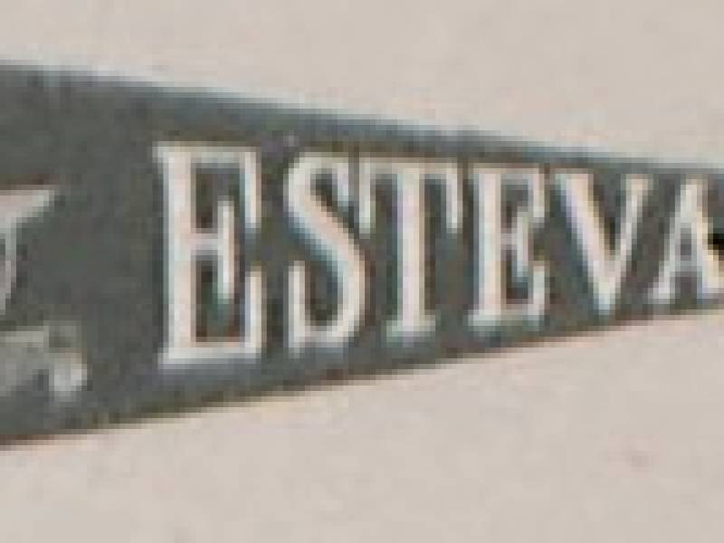 estevan_pennant134.jpg