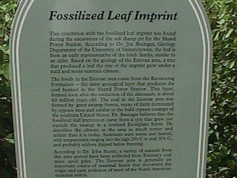shand_leaf_sign.jpg