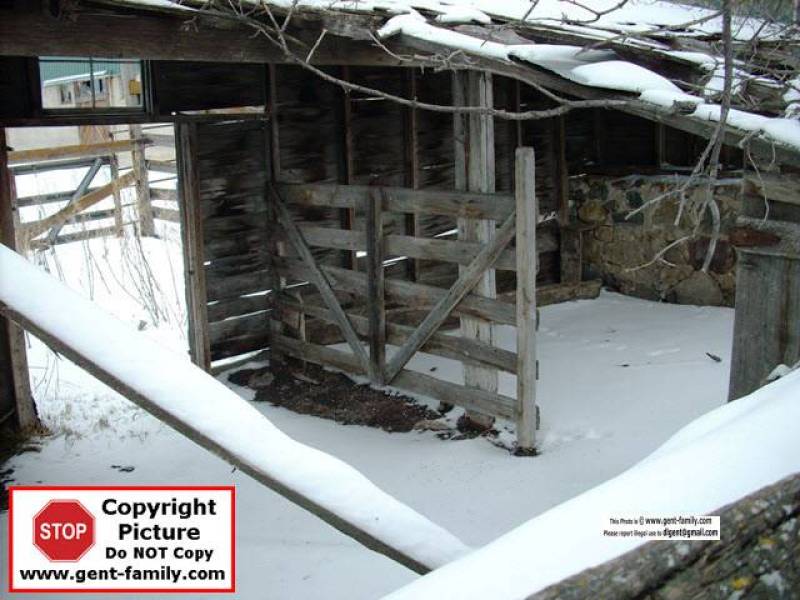 chicken_coop_possibly_2007.jpg