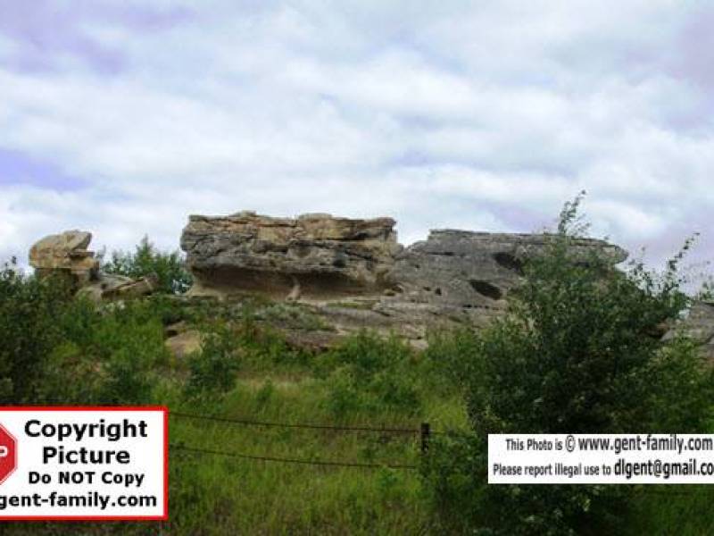 sdc11174.jpg