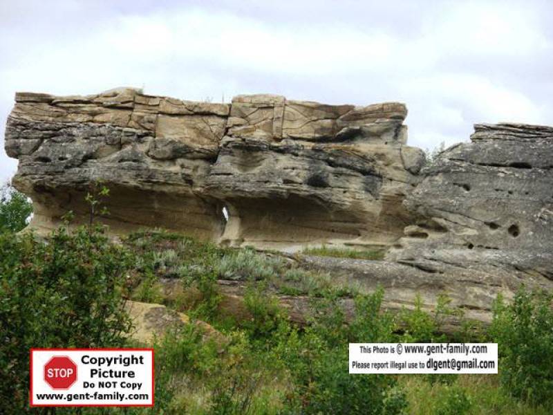 sdc11177.jpg