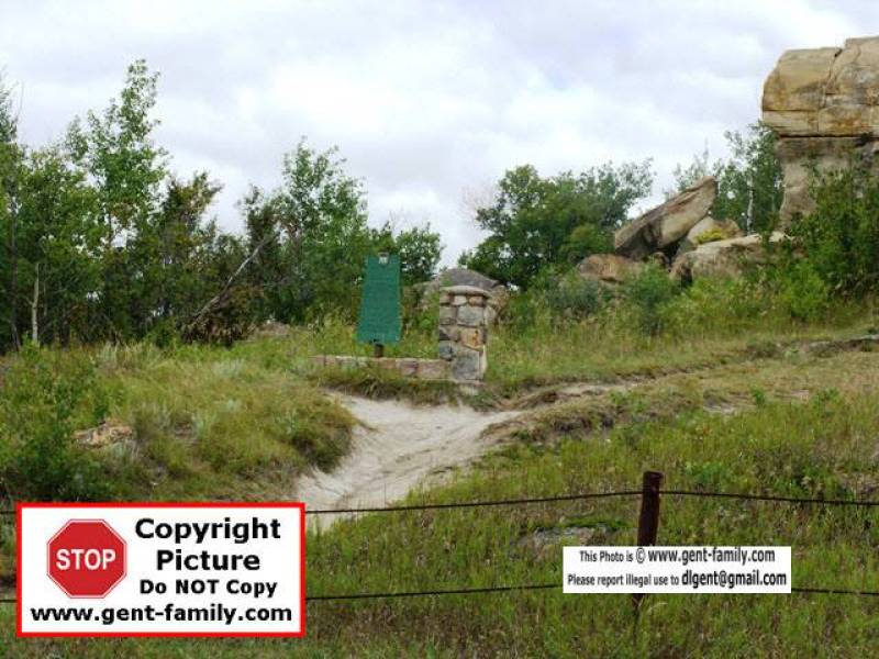 sdc11179.jpg
