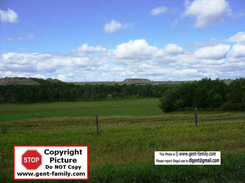 sdc11183.jpg