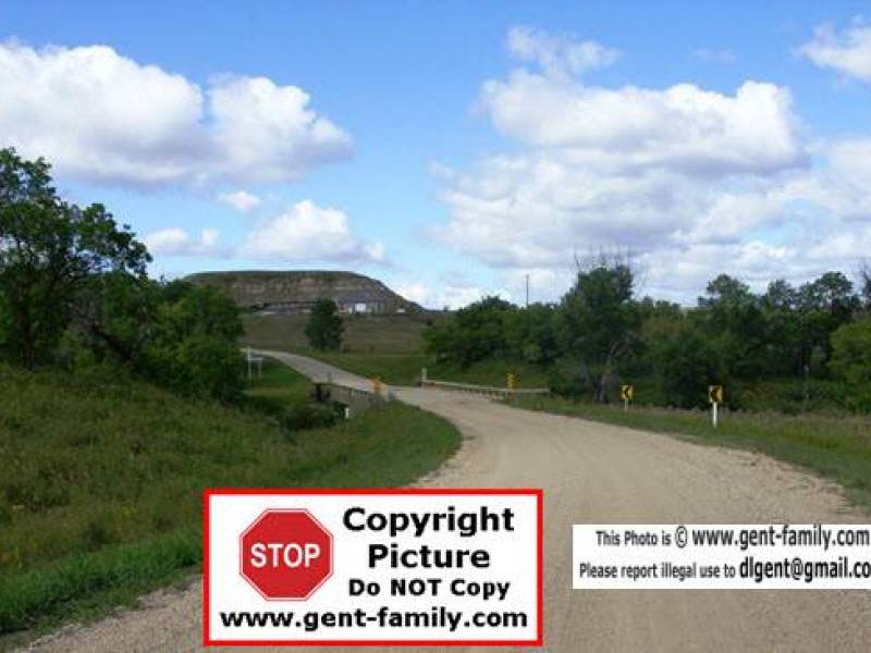 sdc11184.jpg